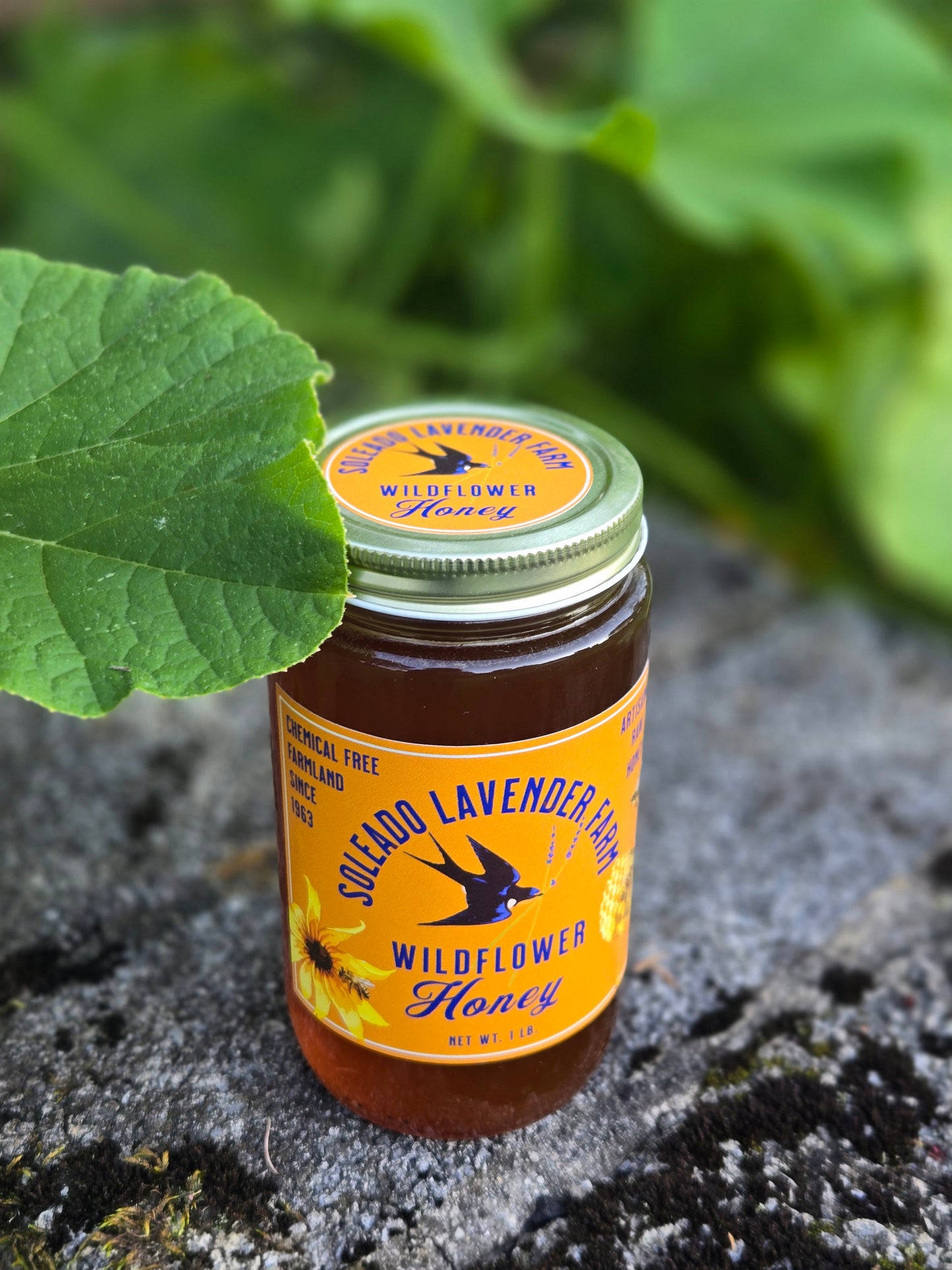 1 lb. Raw Wildflower Honey - available for pick up and shipping