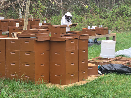 Hive Sponsor