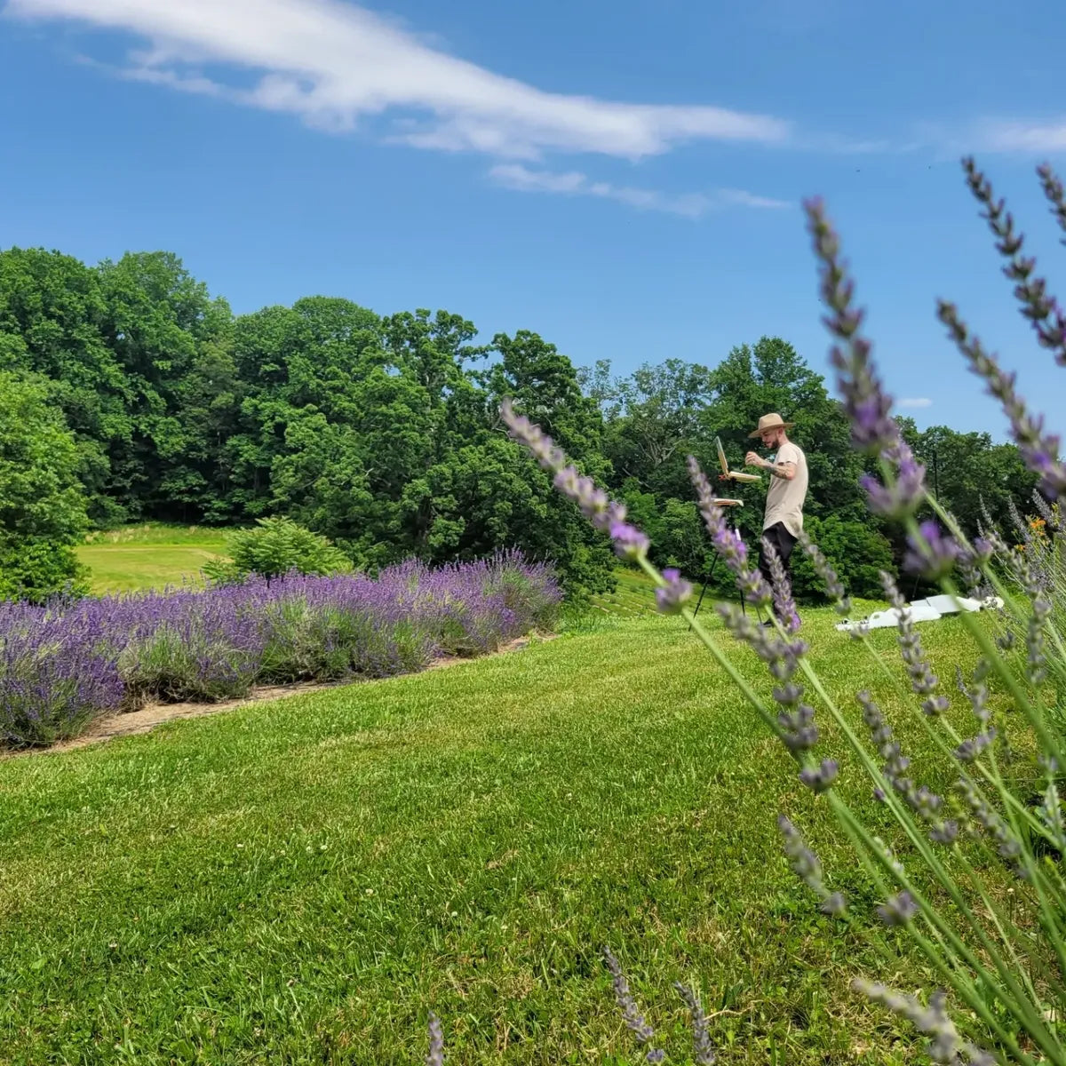 Grosso Lavender - One Gallon Preorder-pick up in MAY